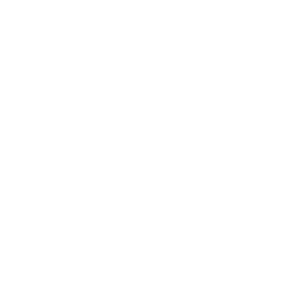 lofotenpeaks footer logo